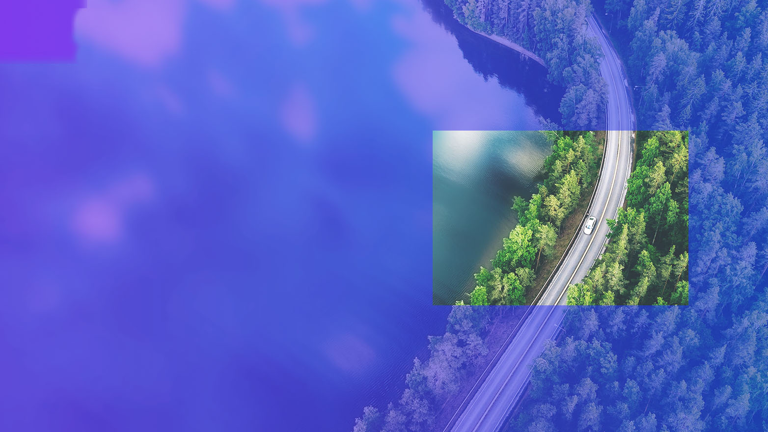sky view of road surrounded by trees
